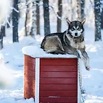 Northern Lights Village 4*