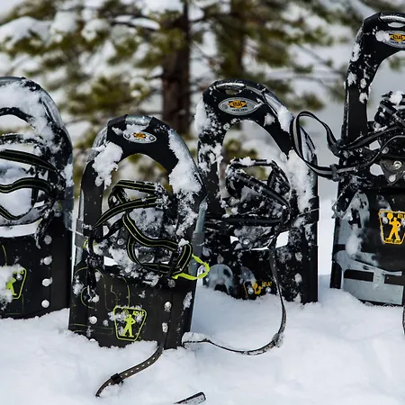 Northern Lights Village Resort Saariselkä