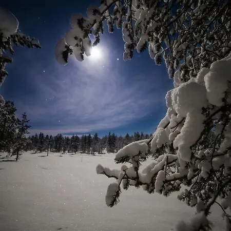 Northern Lights Village Resort