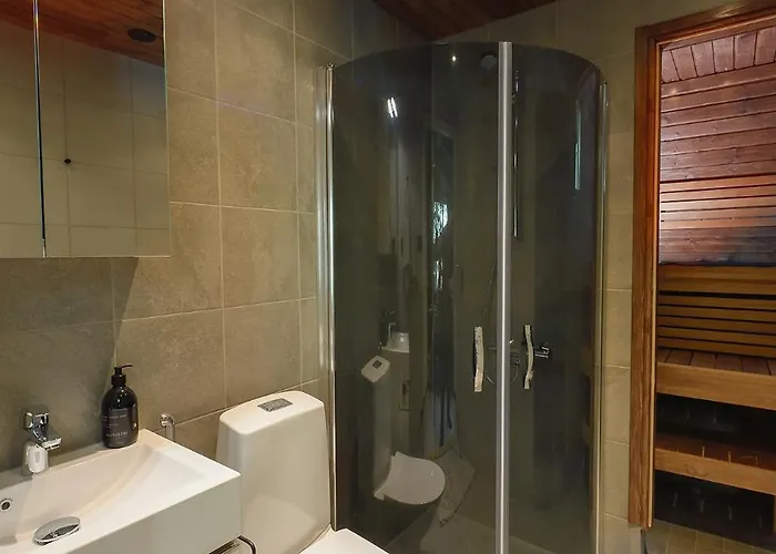 Semesteranläggning (resort) Northern Lights Village Saariselkä