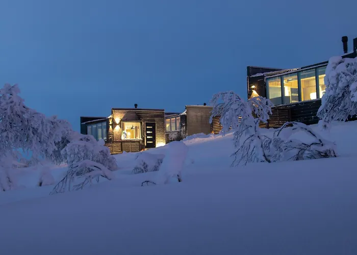 Northern Lights Village