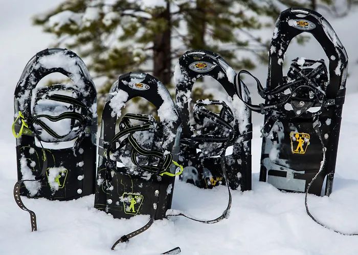 Northern Lights Village Semesteranläggning (resort) Saariselkä