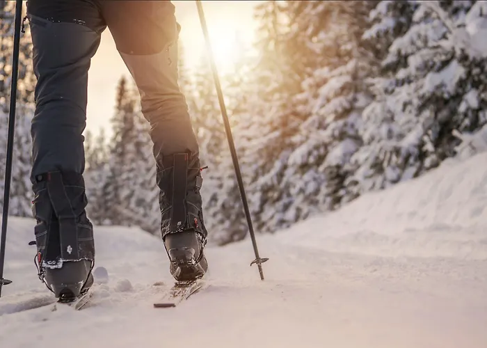 Semesteranläggning (resort) Northern Lights Village 4*