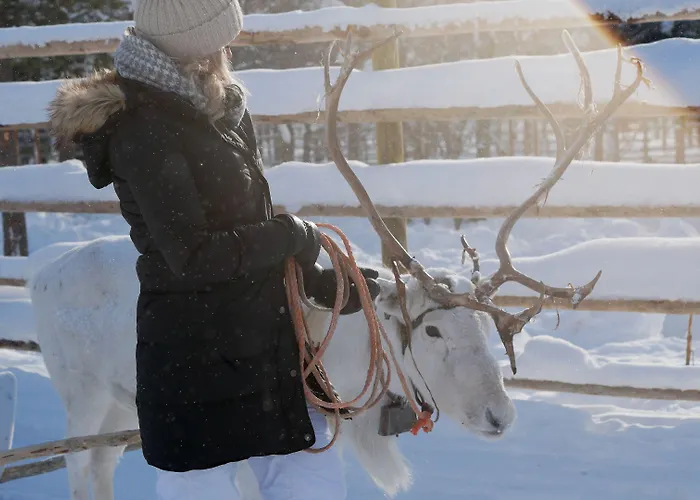 Northern Lights Village