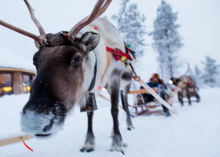 منتجع Northern Lights Village 4*