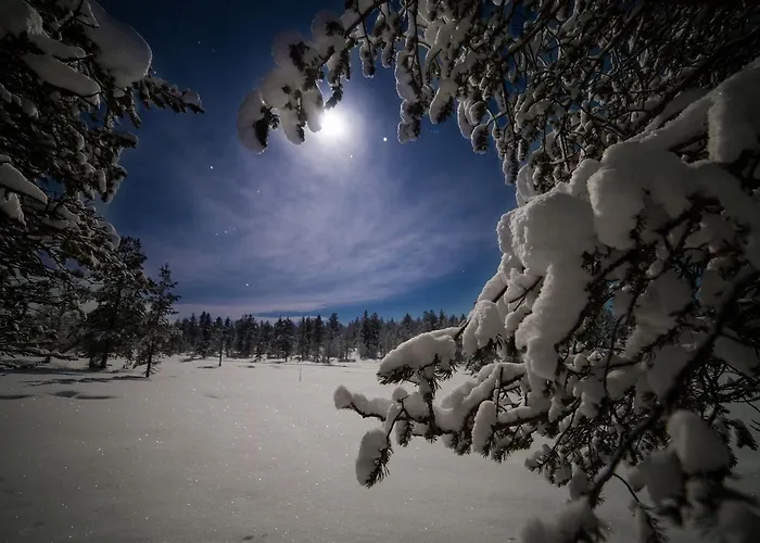 Northern Lights Village منتجع