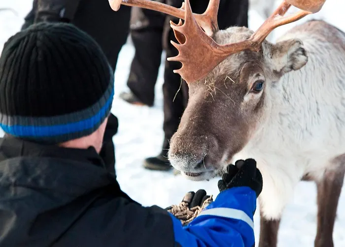 منتجع Northern Lights Village