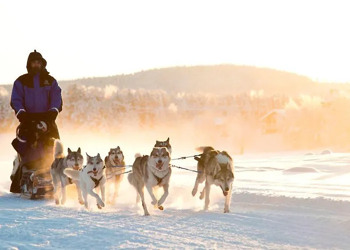 Northern Lights Village 4* ساريسيلكا