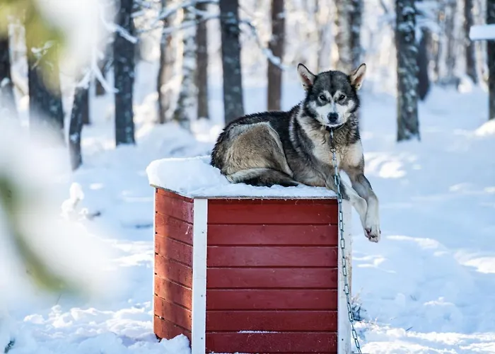 Northern Lights Village 4*