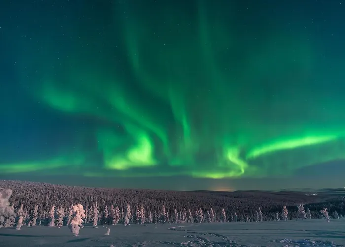 Northern Lights Village 4* ساريسيلكا